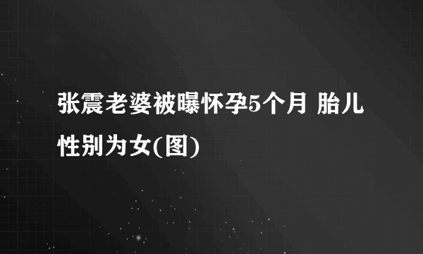 张震老婆被曝怀孕5个月 胎儿性别为女(图)