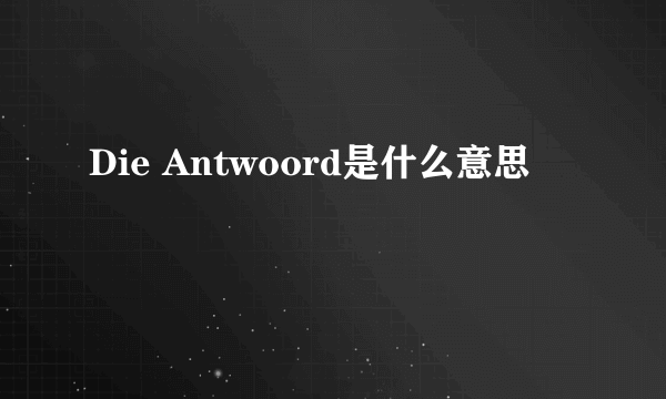 Die Antwoord是什么意思