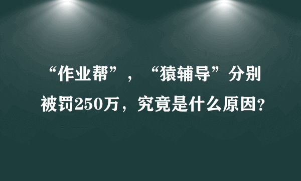 “作业帮”，“猿辅导”分别被罚250万，究竟是什么原因？