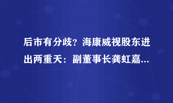 后市有分歧？海康威视股东进出两重天：副董事长龚虹嘉70亿减持，私募大佬冯柳百亿增持