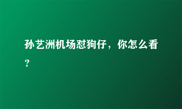 孙艺洲机场怼狗仔，你怎么看？