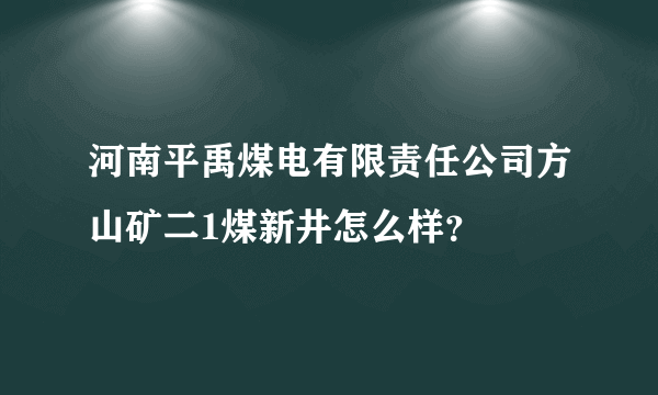 河南平禹煤电有限责任公司方山矿二1煤新井怎么样？