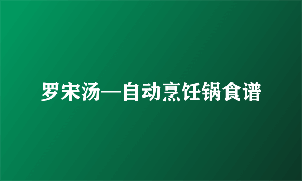 罗宋汤—自动烹饪锅食谱