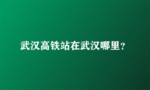 武汉高铁站在武汉哪里？