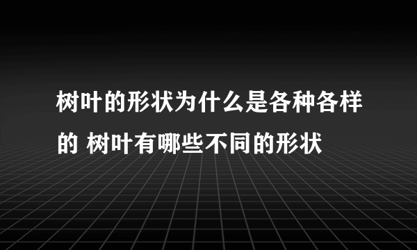 树叶的形状为什么是各种各样的 树叶有哪些不同的形状