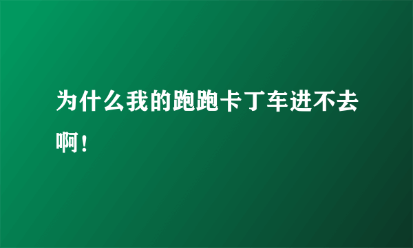 为什么我的跑跑卡丁车进不去啊！