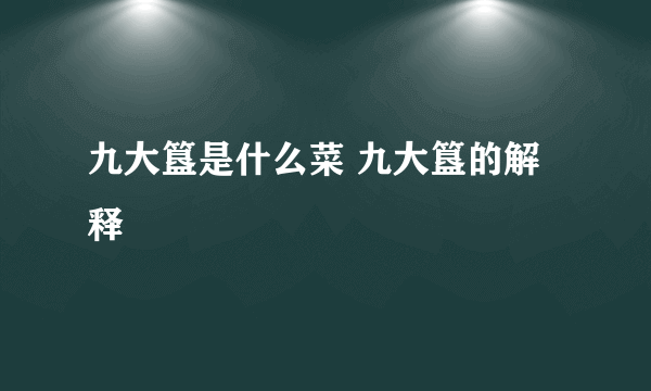 九大簋是什么菜 九大簋的解释