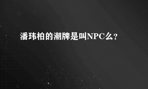 潘玮柏的潮牌是叫NPC么？