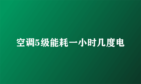 空调5级能耗一小时几度电