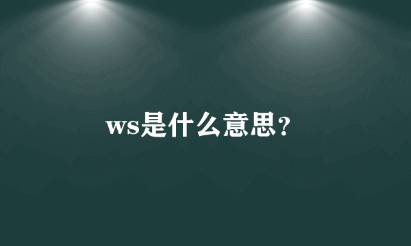 ws是什么意思？