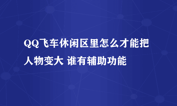 QQ飞车休闲区里怎么才能把人物变大 谁有辅助功能