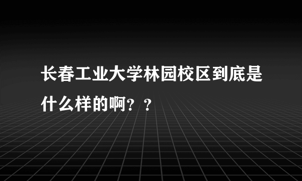 长春工业大学林园校区到底是什么样的啊？？