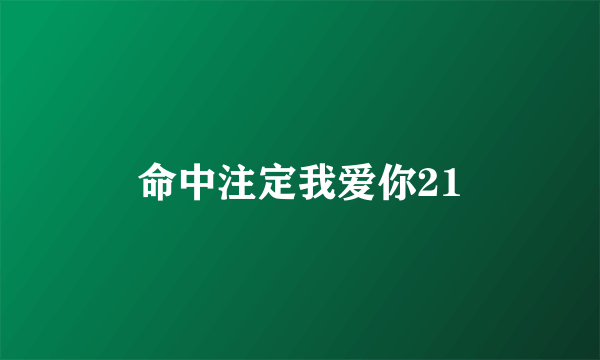 命中注定我爱你21