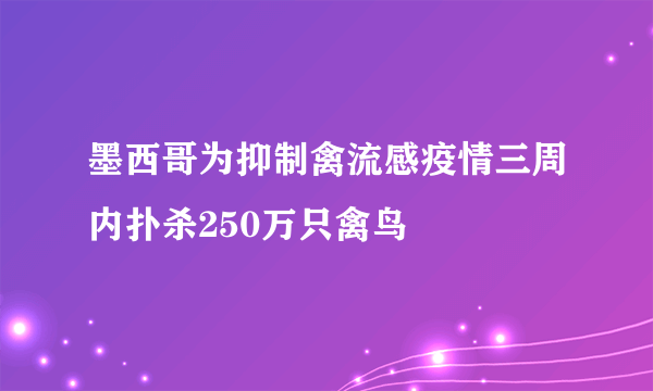 墨西哥为抑制禽流感疫情三周内扑杀250万只禽鸟