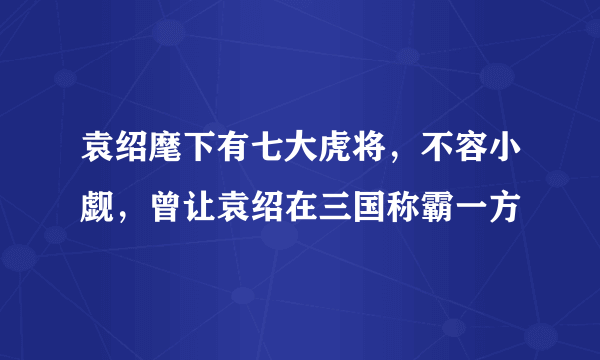 袁绍麾下有七大虎将，不容小觑，曾让袁绍在三国称霸一方