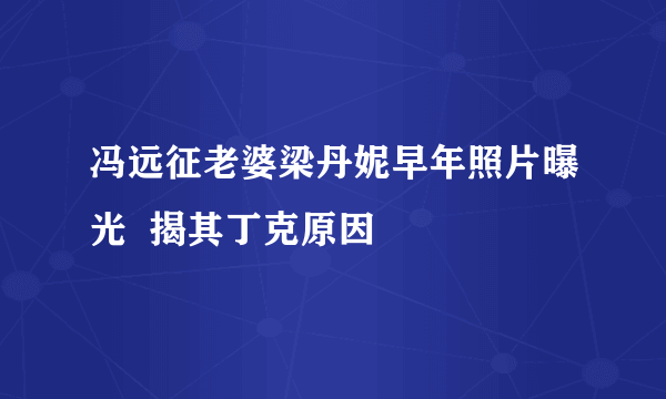 冯远征老婆梁丹妮早年照片曝光  揭其丁克原因