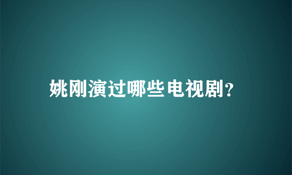 姚刚演过哪些电视剧？