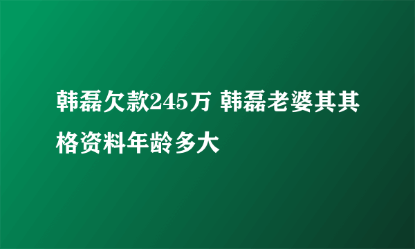 韩磊欠款245万 韩磊老婆其其格资料年龄多大