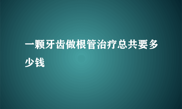 一颗牙齿做根管治疗总共要多少钱