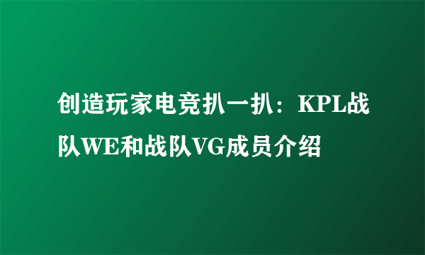 创造玩家电竞扒一扒：KPL战队WE和战队VG成员介绍