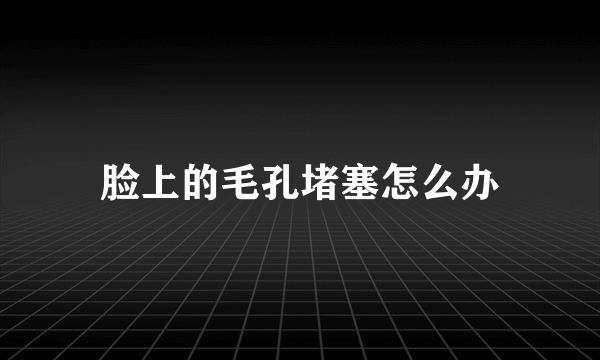 脸上的毛孔堵塞怎么办