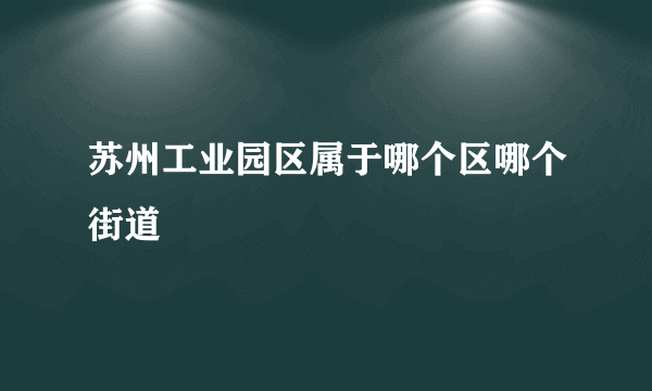 苏州工业园区属于哪个区哪个街道