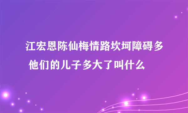 江宏恩陈仙梅情路坎坷障碍多 他们的儿子多大了叫什么