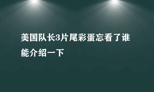 美国队长3片尾彩蛋忘看了谁能介绍一下