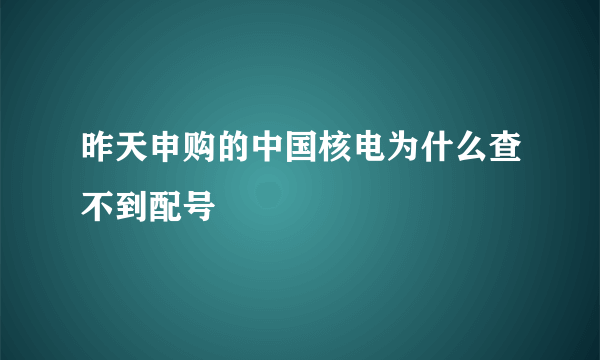 昨天申购的中国核电为什么查不到配号