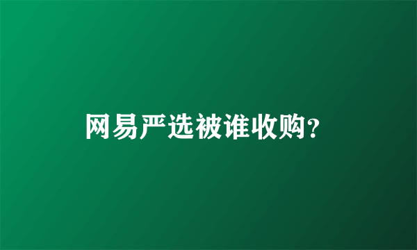 网易严选被谁收购？