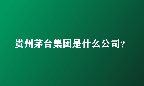 贵州茅台集团是什么公司？