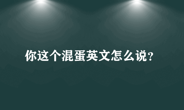 你这个混蛋英文怎么说？