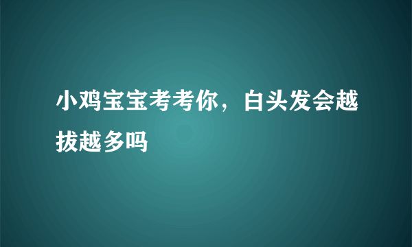 小鸡宝宝考考你，白头发会越拔越多吗