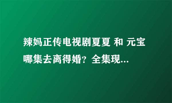 辣妈正传电视剧夏夏 和 元宝 哪集去离得婚？全集现在有能看么？