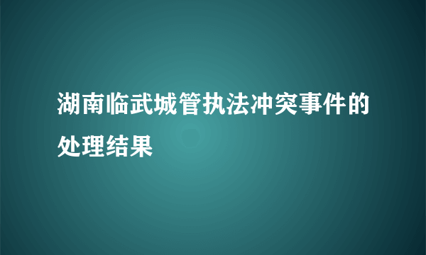 湖南临武城管执法冲突事件的处理结果