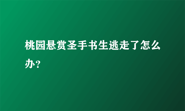 桃园悬赏圣手书生逃走了怎么办？