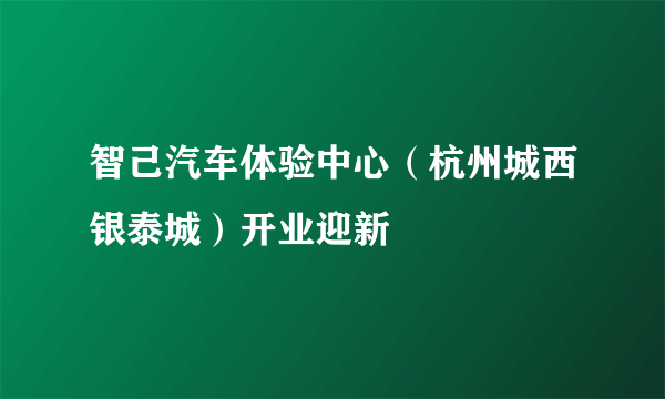 智己汽车体验中心（杭州城西银泰城）开业迎新