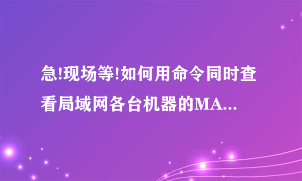 急!现场等!如何用命令同时查看局域网各台机器的MAC地址,随后保存在一个文本文档中!