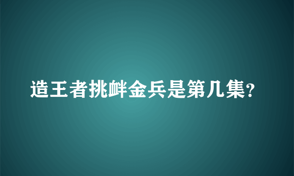 造王者挑衅金兵是第几集？