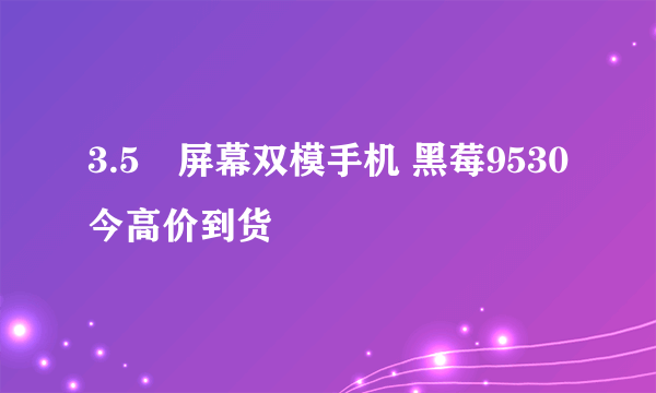 3.5吋屏幕双模手机 黑莓9530今高价到货