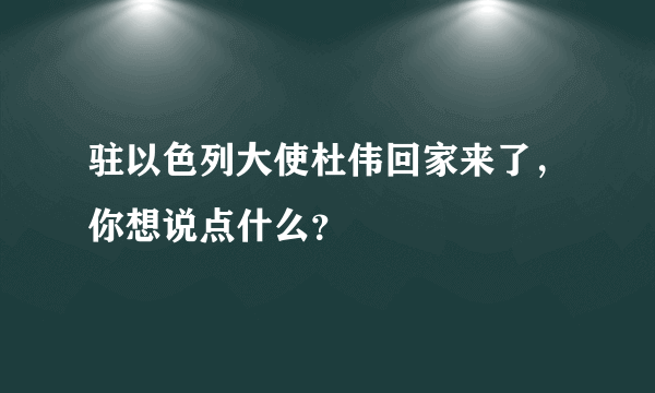 驻以色列大使杜伟回家来了，你想说点什么？