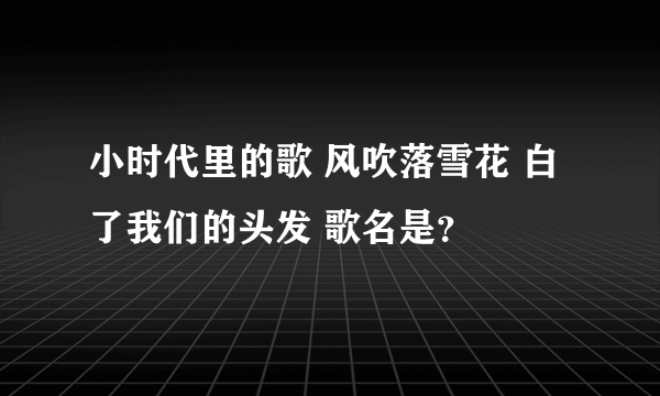 小时代里的歌 风吹落雪花 白了我们的头发 歌名是？