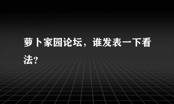 萝卜家园论坛，谁发表一下看法？