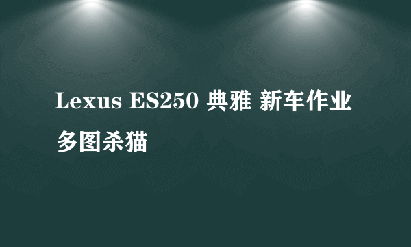 Lexus ES250 典雅 新车作业 多图杀猫