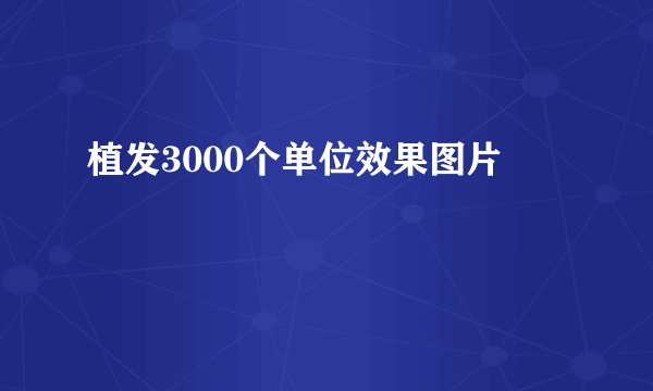 植发3000个单位效果图片