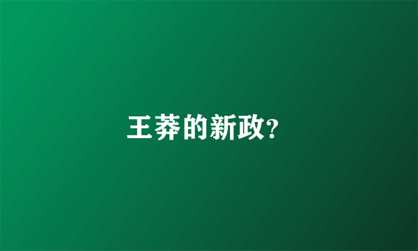 王莽的新政？