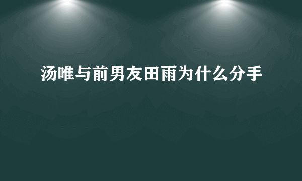 汤唯与前男友田雨为什么分手