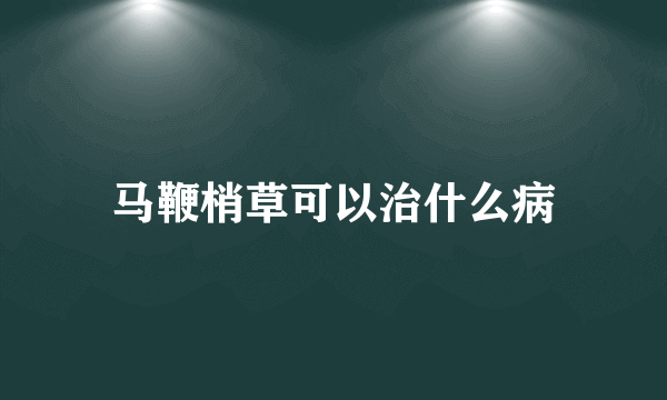 马鞭梢草可以治什么病