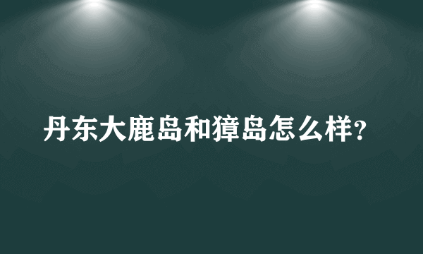 丹东大鹿岛和獐岛怎么样？