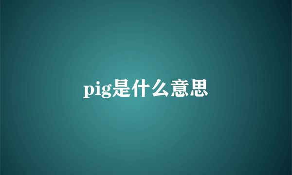 pig是什么意思